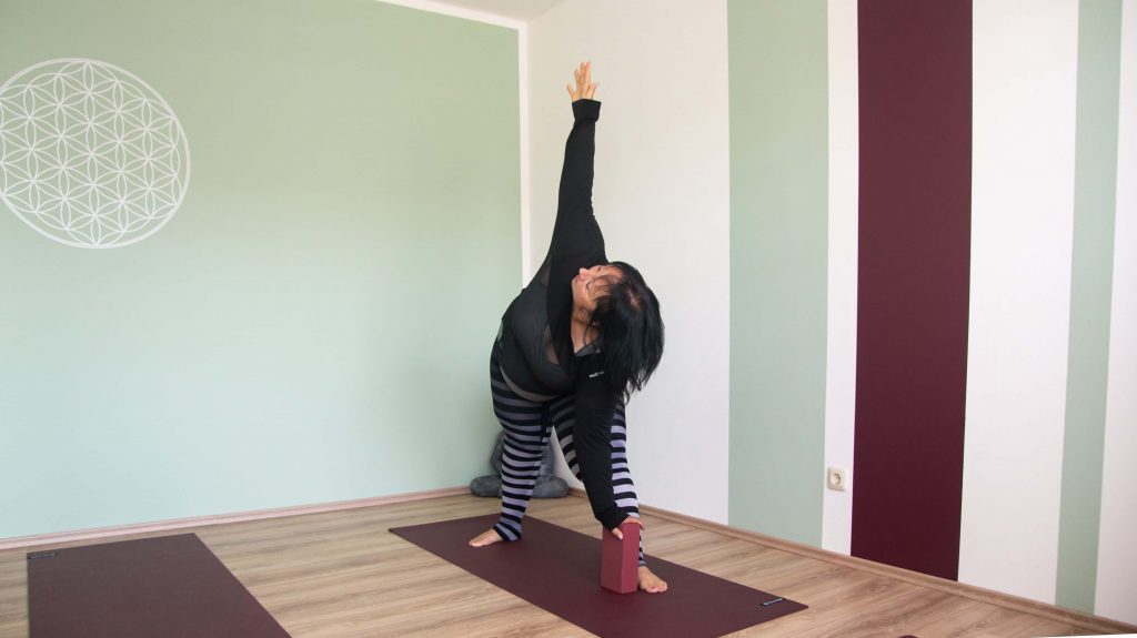 Yoga XL Sonja Stöber Yoga Austerlitz